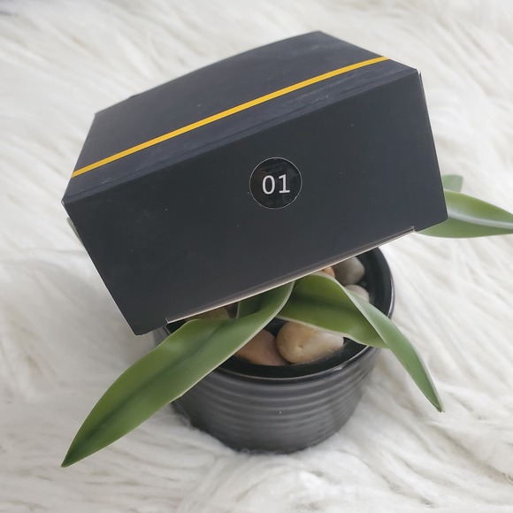 TASH Cosmetics Highlighter Green Compact #01 - Picture 4 of 6